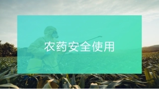 农药安全使用培训课件.pptx