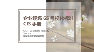 企业现场6S目视化标准CIS手册.pptx