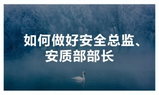 全力做好安全总监、安质部部长.pptx