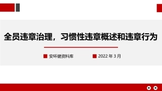 全员违章治理，习惯性违章概述和违章行为.pptx