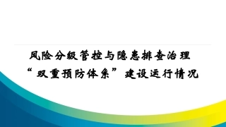 双重预防体系汇报交流会.pptx