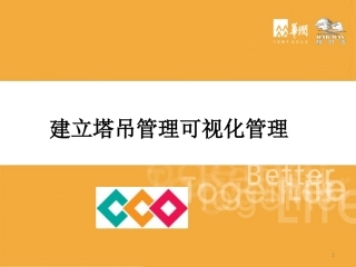 塔吊管理可视化管理.pptx
