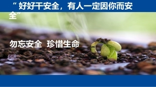勿忘安全  珍惜生命——安全意识培训板.pptx