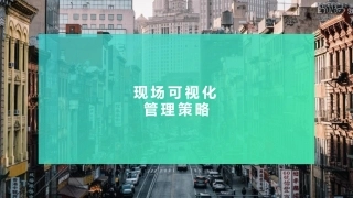 现场可视化管理策略.pptx