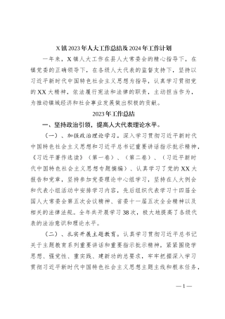 X镇2023年人大工作总结及2024年工作计划.docx