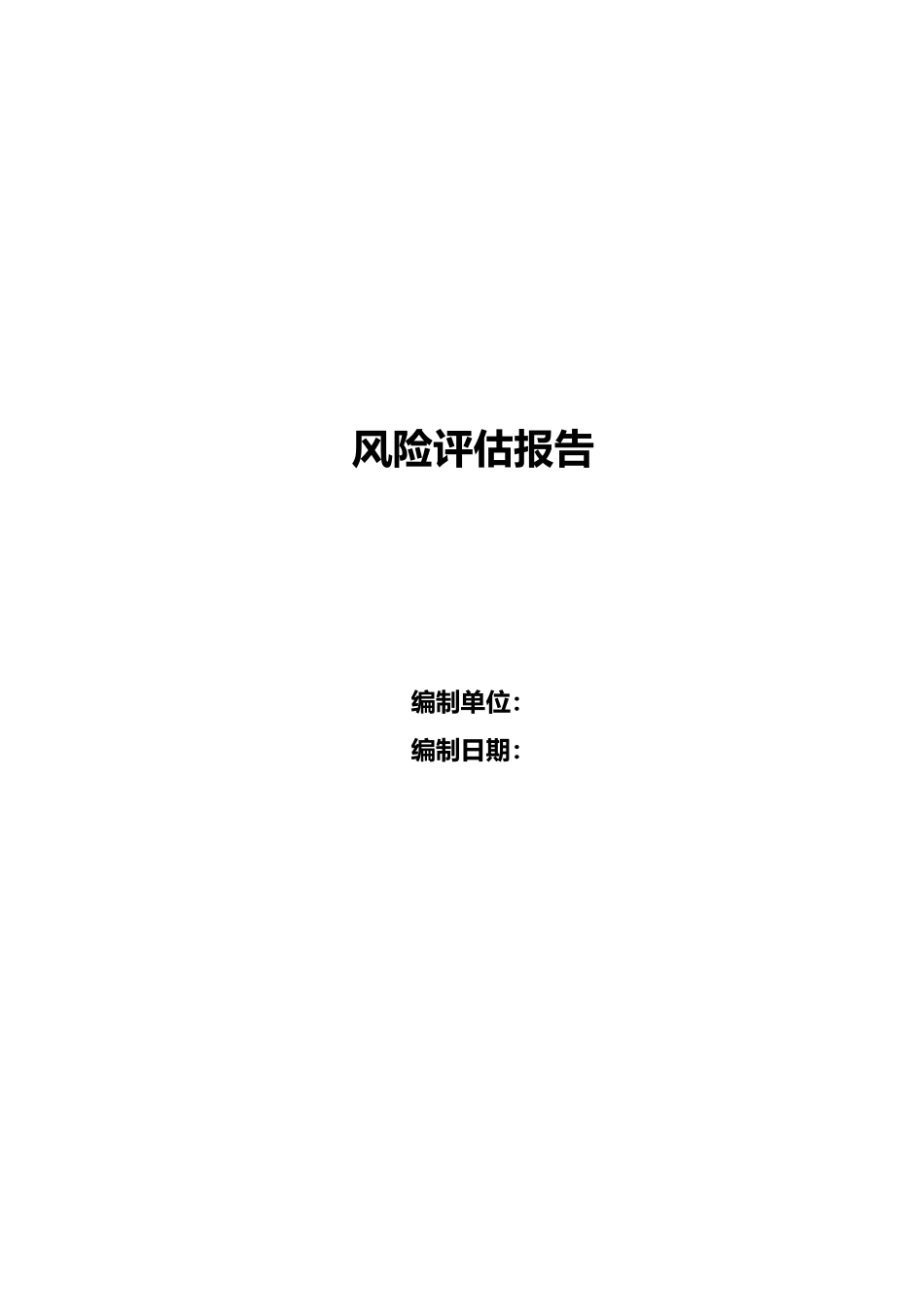 【文件】安全风险评估报告.docx.doc_第1页