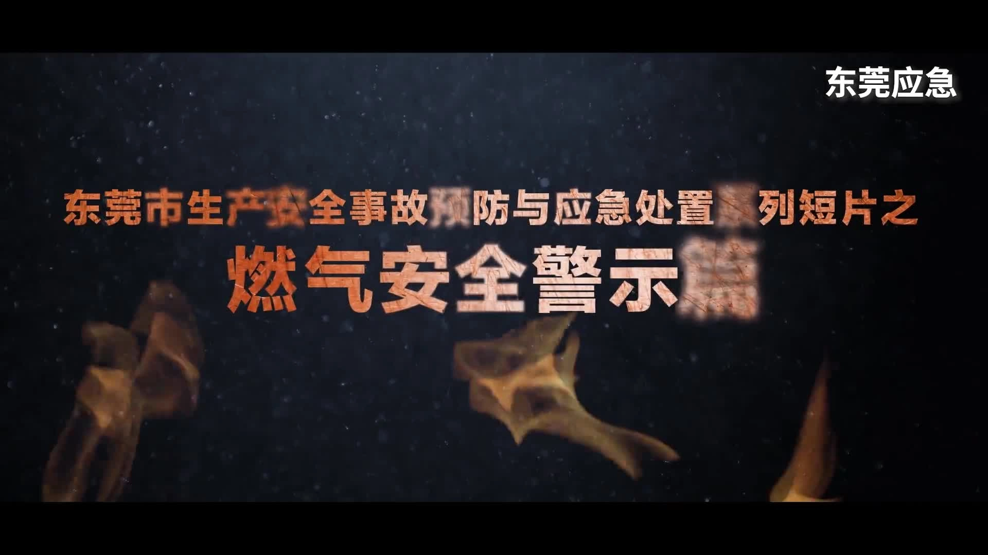 20.一则燃气安全警示小视频.mp4