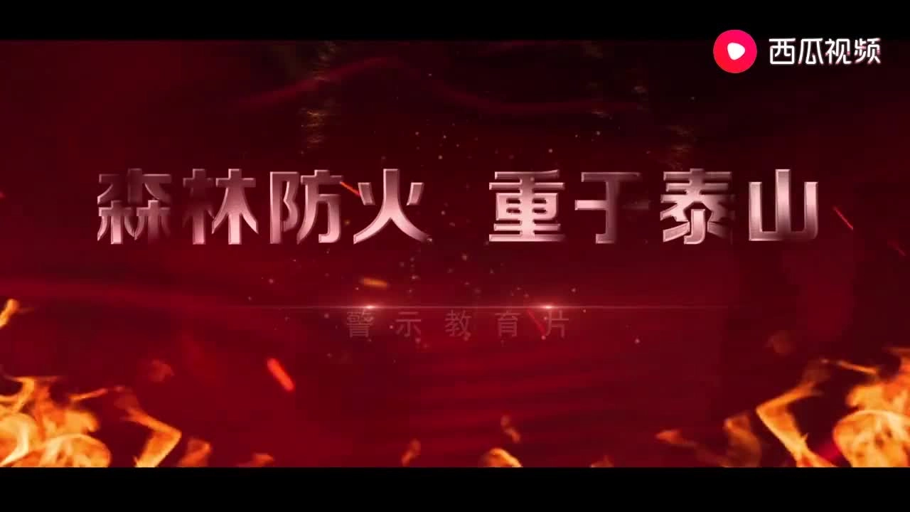 42.森林火灾警示片.mp4