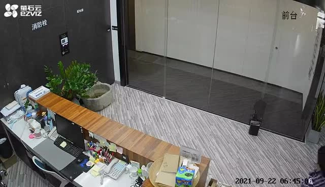 未组织员工参加锂电池突发安全事故现场处置方案，引发火灾事故.mp4