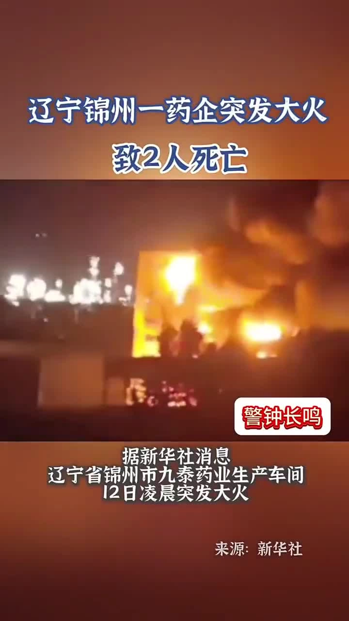 【事故实拍】5月12日锦州一药企突发火灾.mp4