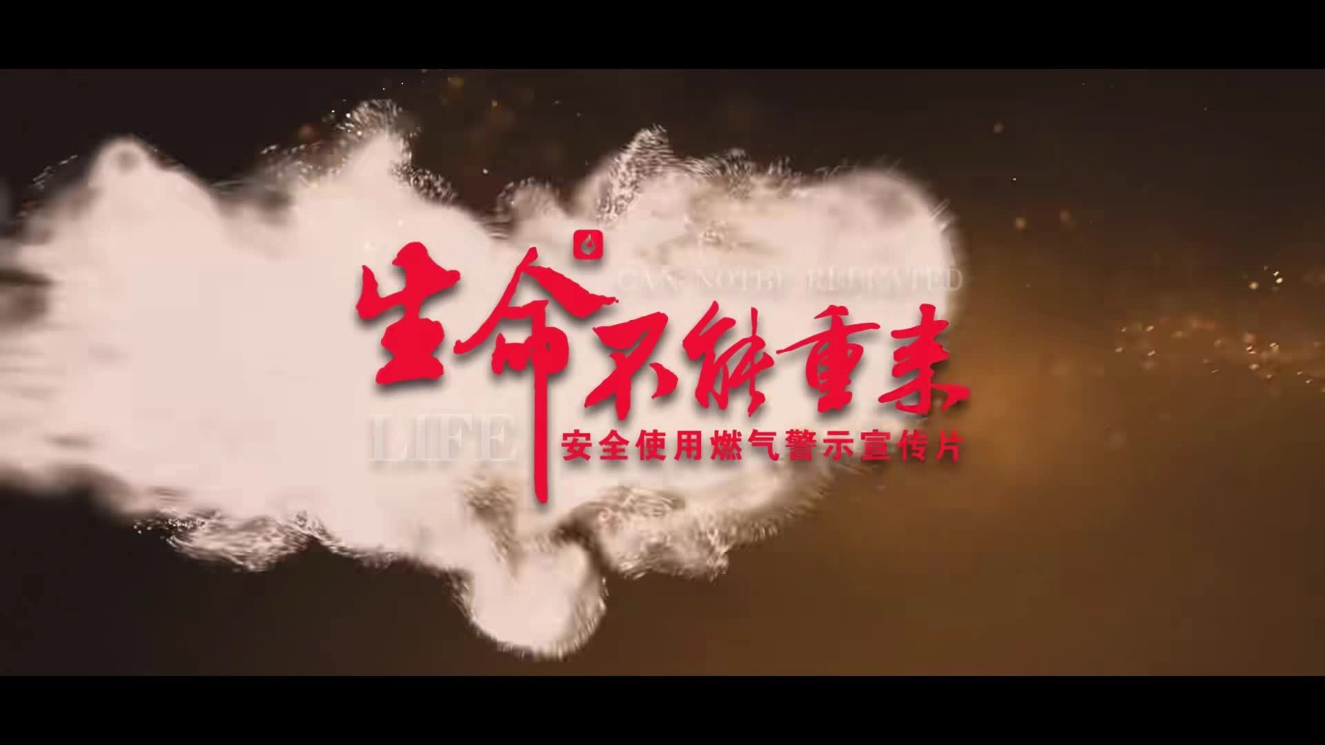 生命不能重来丨安全使用燃气警示教育片.mp4