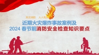 2024春节前消防安全检查知识要点-附近期火灾爆炸案例7起（上）.pptx