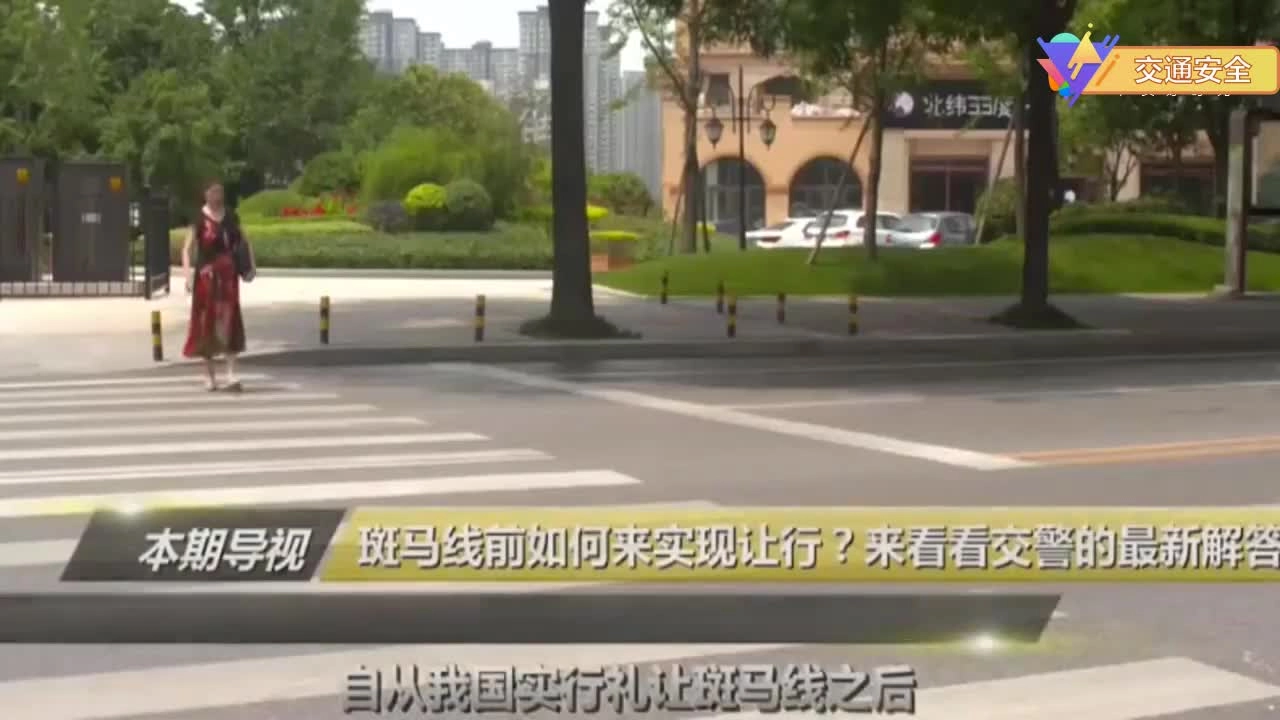 EHS学习资料网交通安全视频084.交通安全警示教育片《如何礼让行人》.mp4