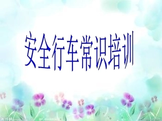 EHS学习资料网交通安全培训PPT07.交通安全行车常识培训.pptx