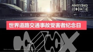 EHS学习资料网交通安全培训PPT46.交通事故受害者纪念日课件.pptx