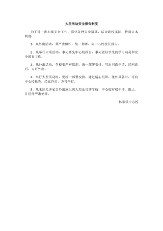 大型活动安全报告制度.docx