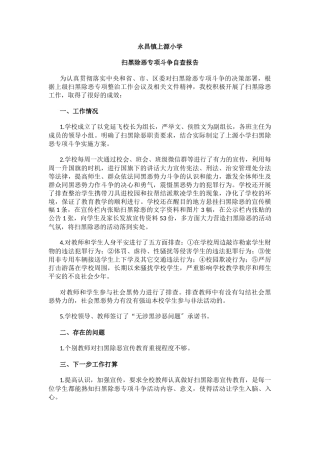 小学扫黑除恶专项斗争自查报告.docx