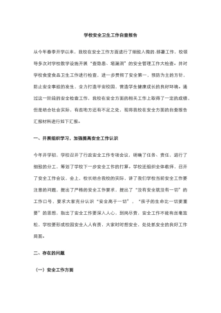 17.学校安全卫生工作自查报告.docx