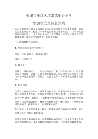 小学实实验室应急预案.docx