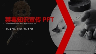 禁毒知识宣传-02.pptx