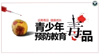 远离du品 健康成长.pptx