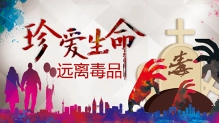 珍爱生命 远离du品-02.pptx