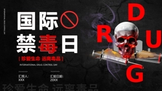 珍爱生命 远离du品-03.pptx