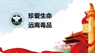 珍爱生命 远离du品-14.pptx