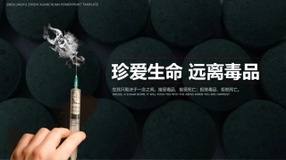 珍爱生命 远离du品-15.pptx