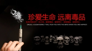 珍爱生命 远离du品-18.pptx