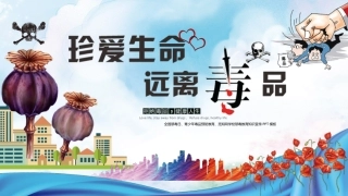 珍爱生命 远离du品-20.pptx