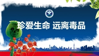 珍爱生命 远离du品-21.pptx