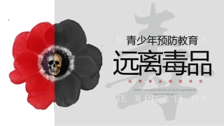 珍爱生命 远离du品-23.pptx