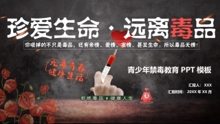 珍爱生命 远离du品-25.pptx