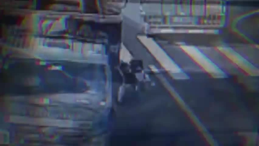 EHS学习资料网交通安全视频108.交通事故典型案例.mp4