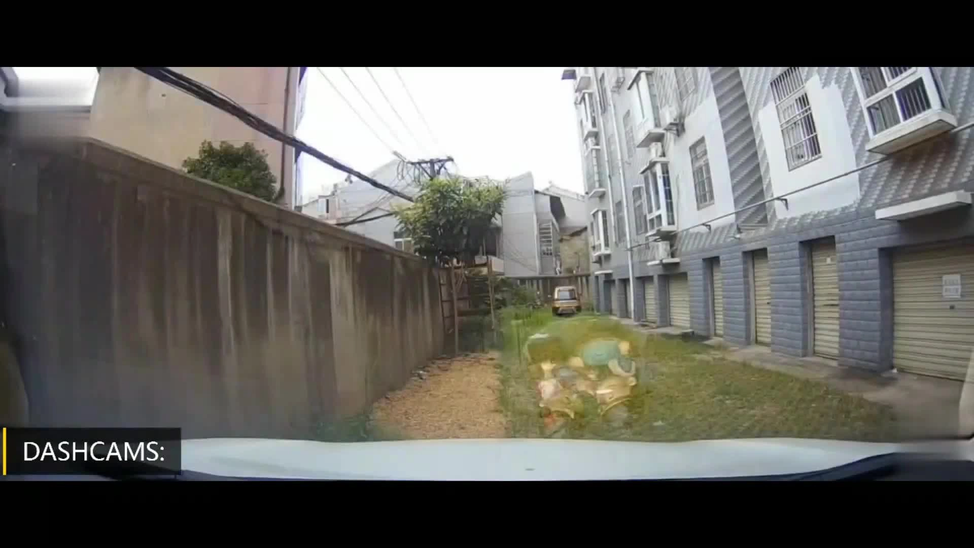 EHS学习资料网交通安全视频177.行车记录仪车祸视频15.mp4