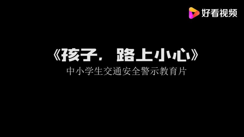 EHS学习资料网交通安全视频183.中小学生交通安全警示片.mp4