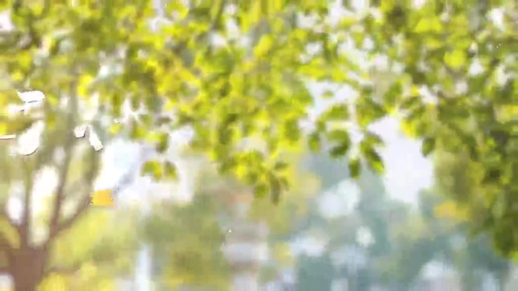 2024《要命的盲区》沉浸式体验货车盲区交通安全课“走新”又“走心”.mp4