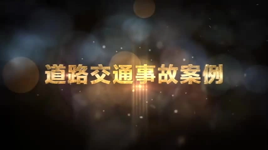 道路交通事故案例.mp4
