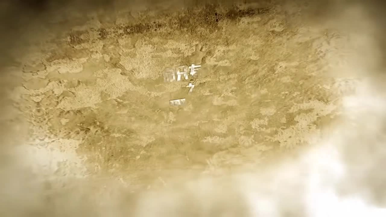 【道路交通安全】农村地区道路交通安全警示片——无证之罪 无价生命.mp4