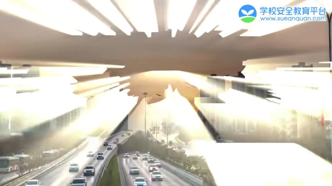 2024年中小学生交通安全警示教育片：文明交通，携手共创.mp4