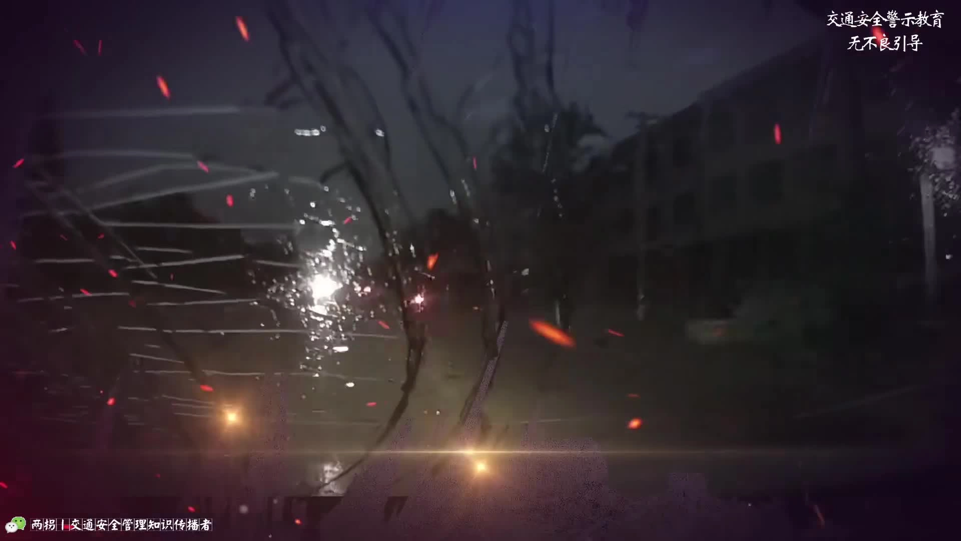 珍爱生命，远离伤害！2024年易受伤群体交通事故警示片.mp4