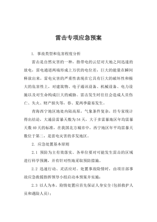 雷击专项应急预案.docx