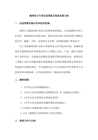 森林防火专项应急预案及现场处置方案.docx