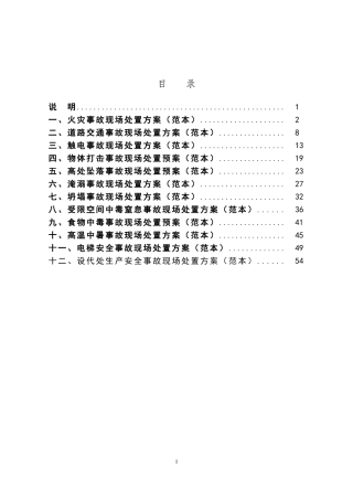 001 现场处置方案范本.doc