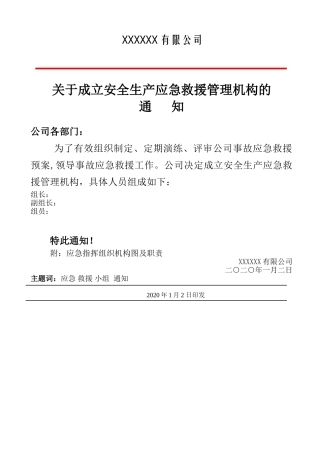 2.成立应急领导小组的通知.doc