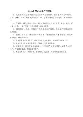 安全经理安全生产责任制.doc