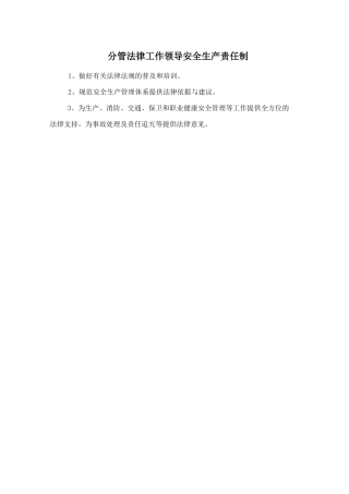 分管法律工作领导安全生产责任制.doc
