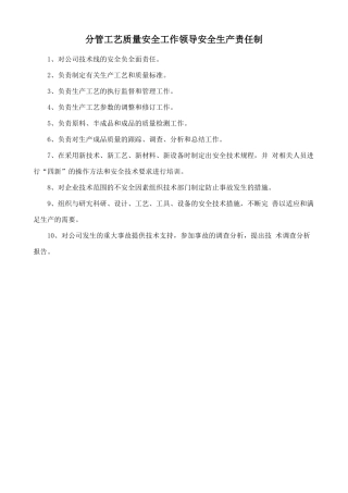 分管工艺质量安全工作领导安全生产责任制.doc