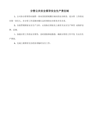 分管公共安全领导安全生产责任制.doc